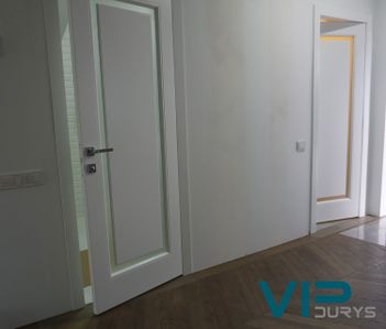 Vidaus durys