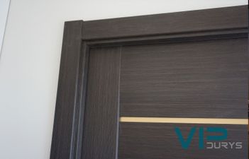 Vidaus kambario durys