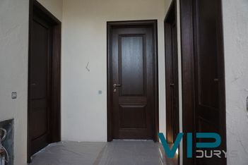 Vidaus kambario durys