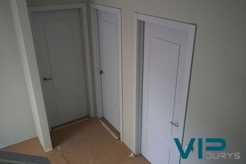 Vidaus durys
